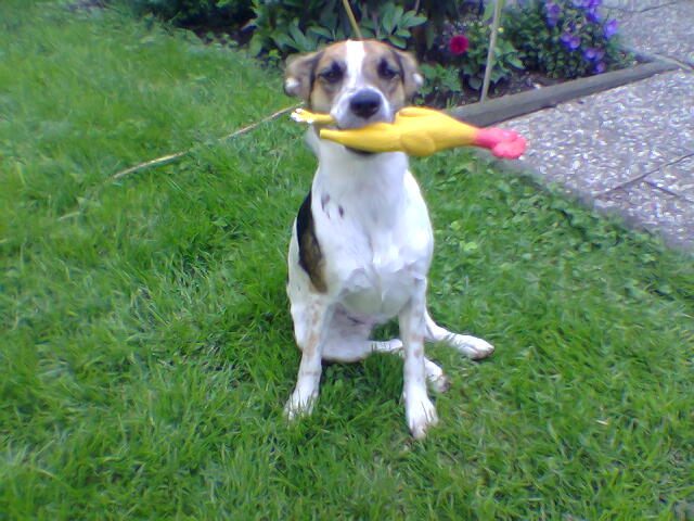 Bild000