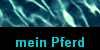 mein Pferd