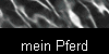 mein Pferd